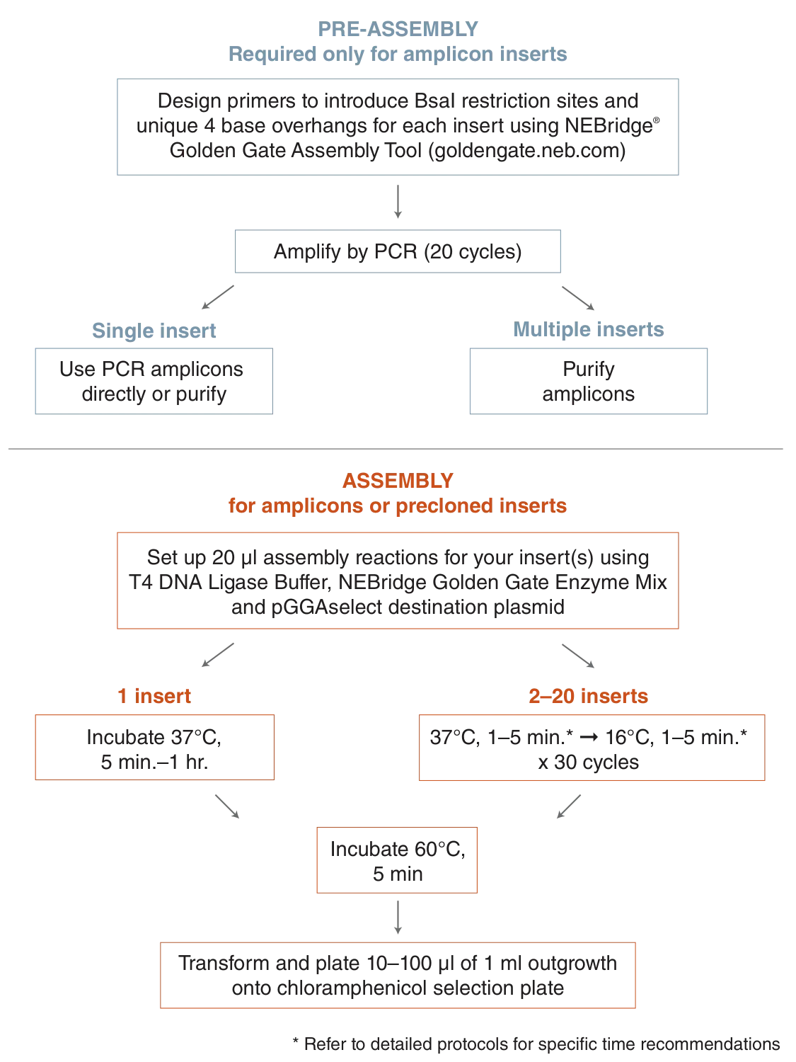 Pre-assembly and assembly protocol overview for NEBridge® Golden Gate Assembly