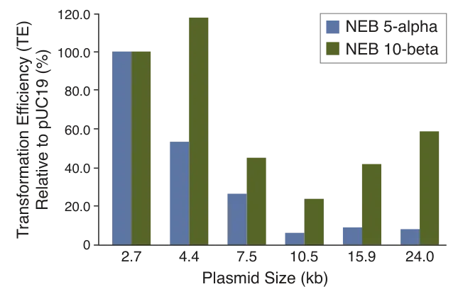 Bar graph depicting transformation efficiency versus plasmid size for NEB® 5-alpha and NEB 5-beta Competent E. coli