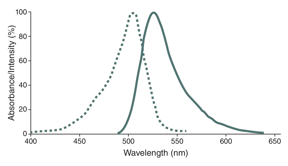 CLIP-Surface™ 488 excitation and emission spectra