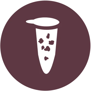 Anchor icon for the DNA cloning bundle special offer page representative of category in workflow