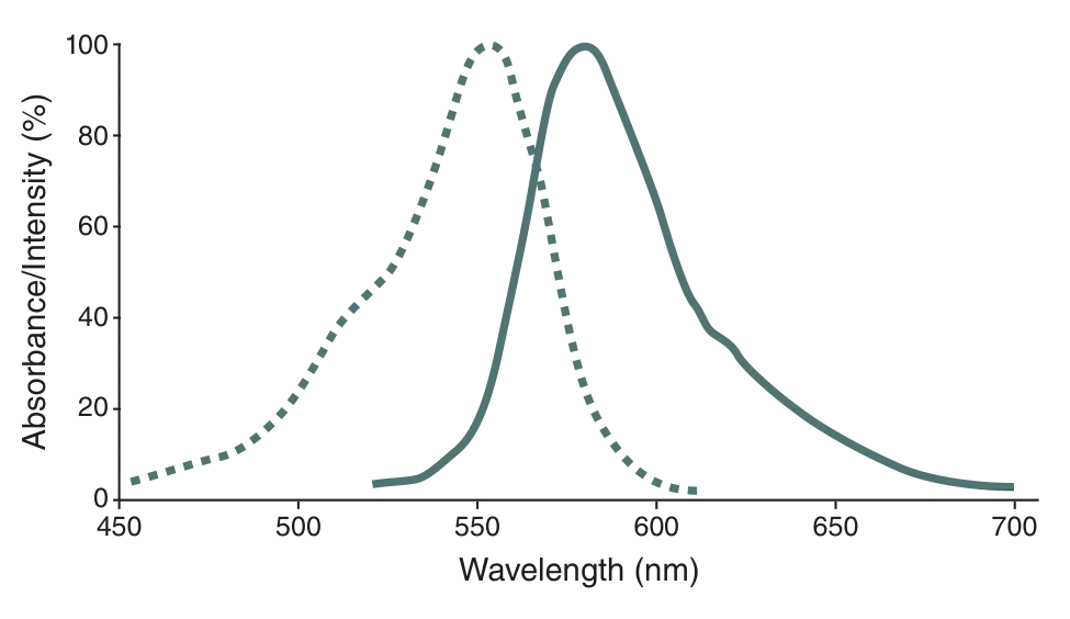 Excitation and emission spectra of SNAP-Cell® TMR-Star