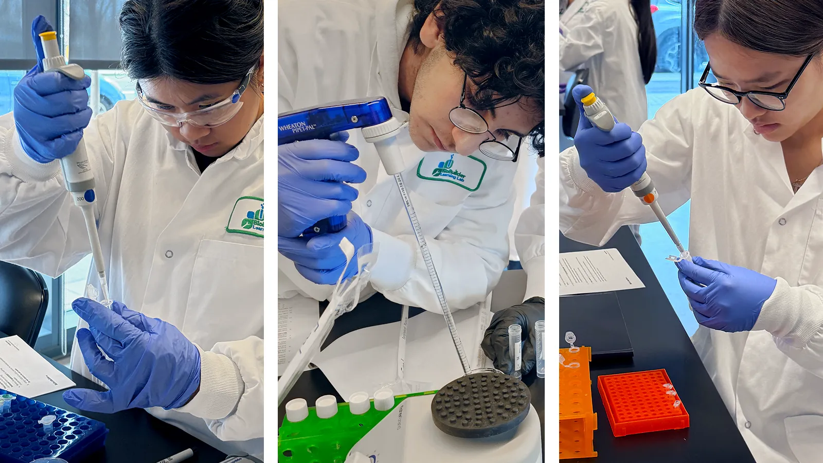 Collage of BioBuilder students, closeup, performing molecular biology experiments