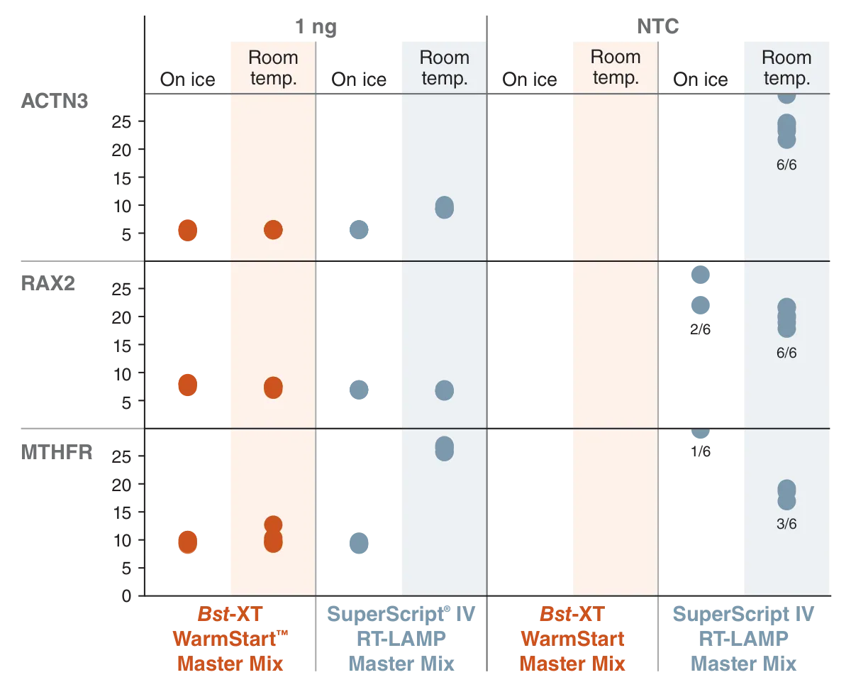 Bst-XT WarmStart™ Multi-Purpose LAMP/RT-LAMP 2X Master Mix (with