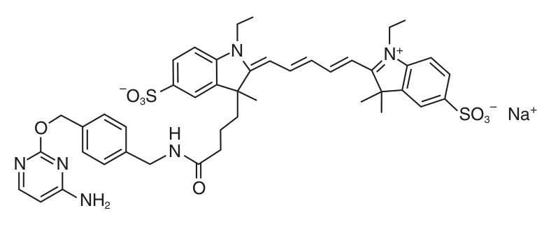 CLIP-Surface™ 647 structure