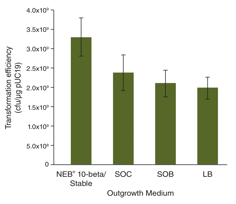 Bar graph of transformation efficiency for various outgrowth media