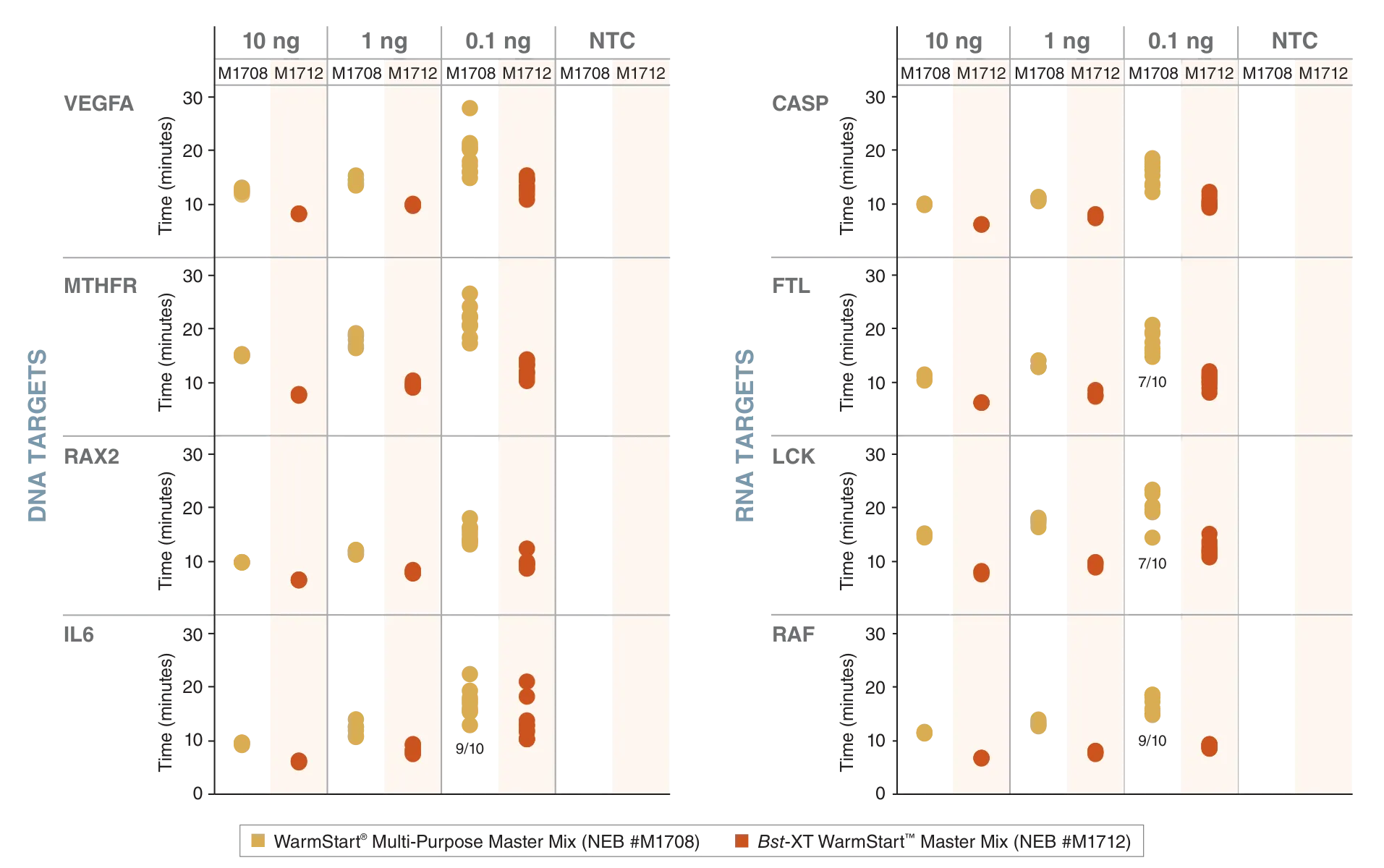 Bst-XT WarmStart™ Multi-Purpose LAMP/RT-LAMP 2X Master Mix (with