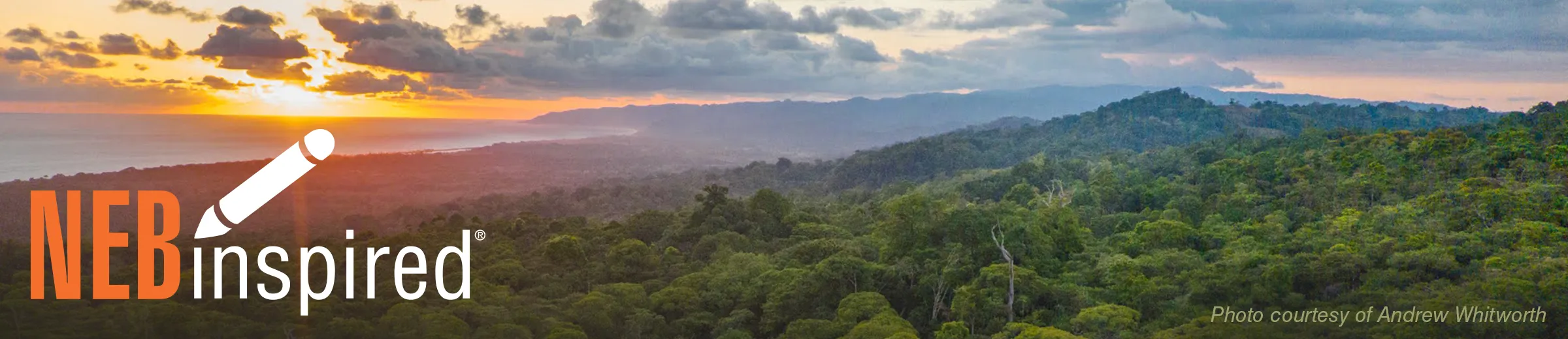 Aerial view over trees of Osa Peninsula in Costa Rica at sunrise. Photo courtesy of Andrew Whitworth.