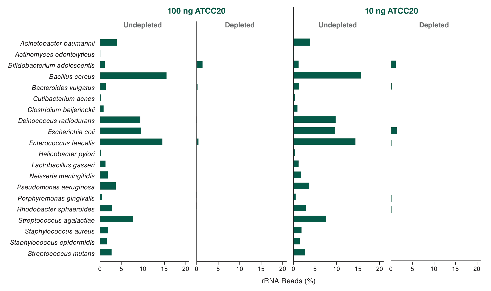 Plot of rRNA depletion efficiency for 100 ng ATCC20 and 10 ng ATCC20 for various bacterial species
