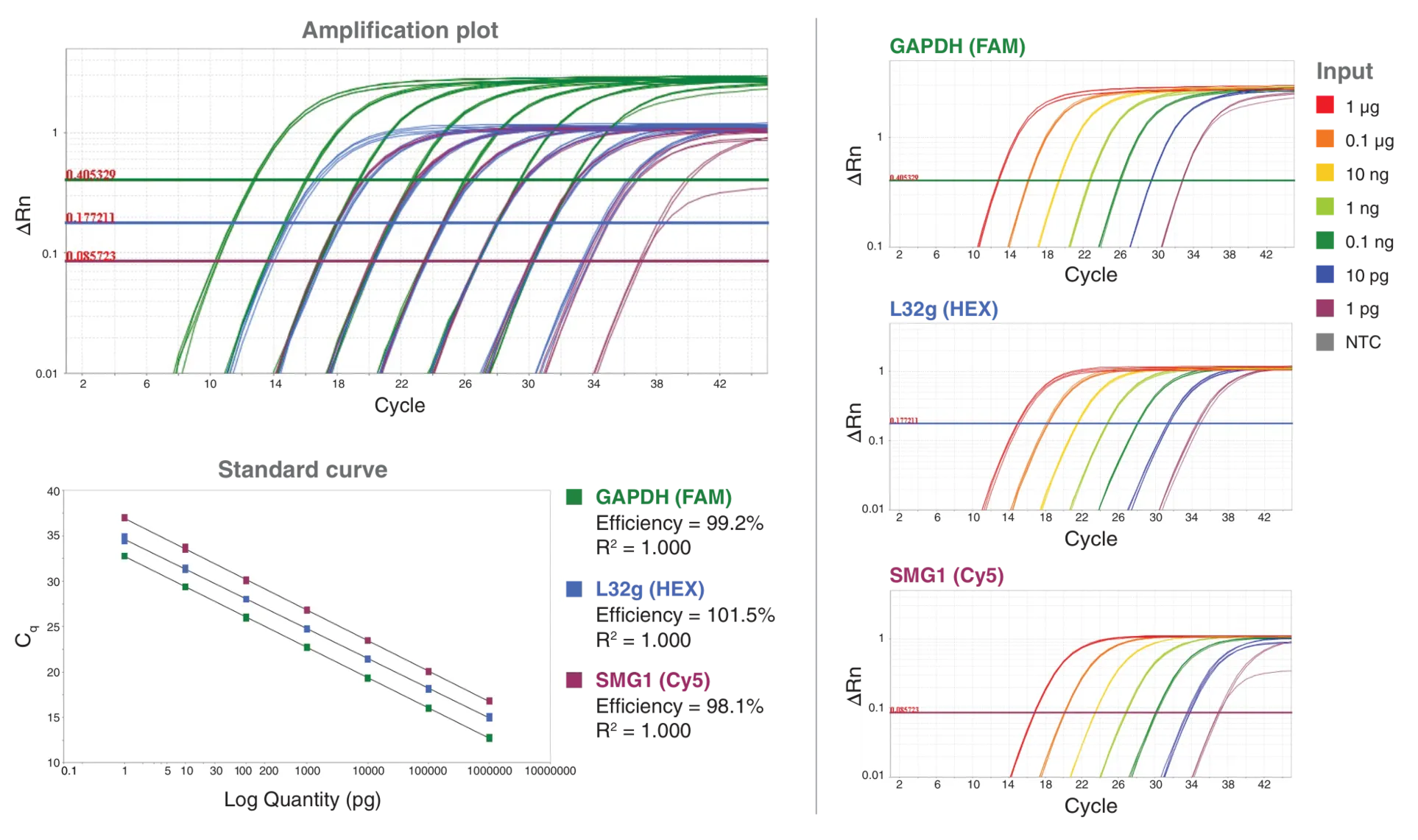 Amplification plot and standard curve depicting robust performance of Luna in multiplex applications