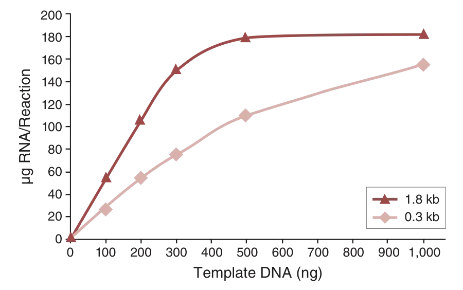 Line graph of RNA yield versus template DNA