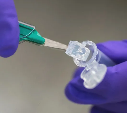 Closeup photo of gel excision for DNA gel extraction