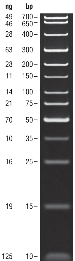 TriDye™ Ultra Low Range DNA Ladder