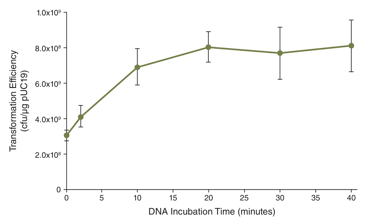 Line graph depicting effects of DNA incubation time on transformation efficiency