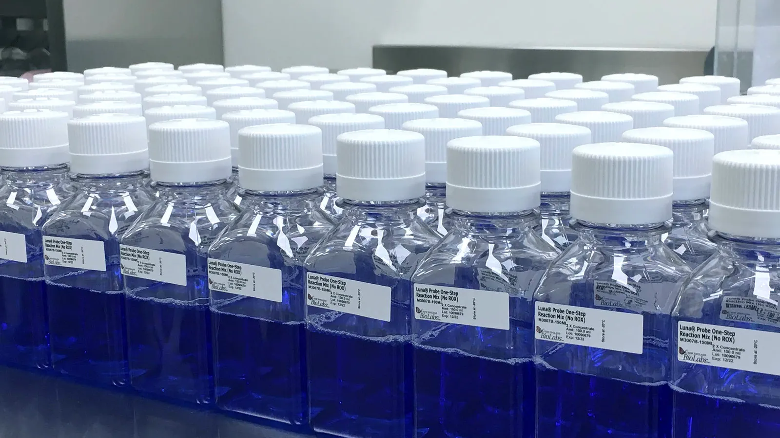 Lines of NEB® Customized Solutions product in glass bottles