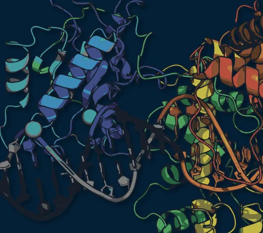 Closeup of colorful ribbon structure of restriction enzyme
