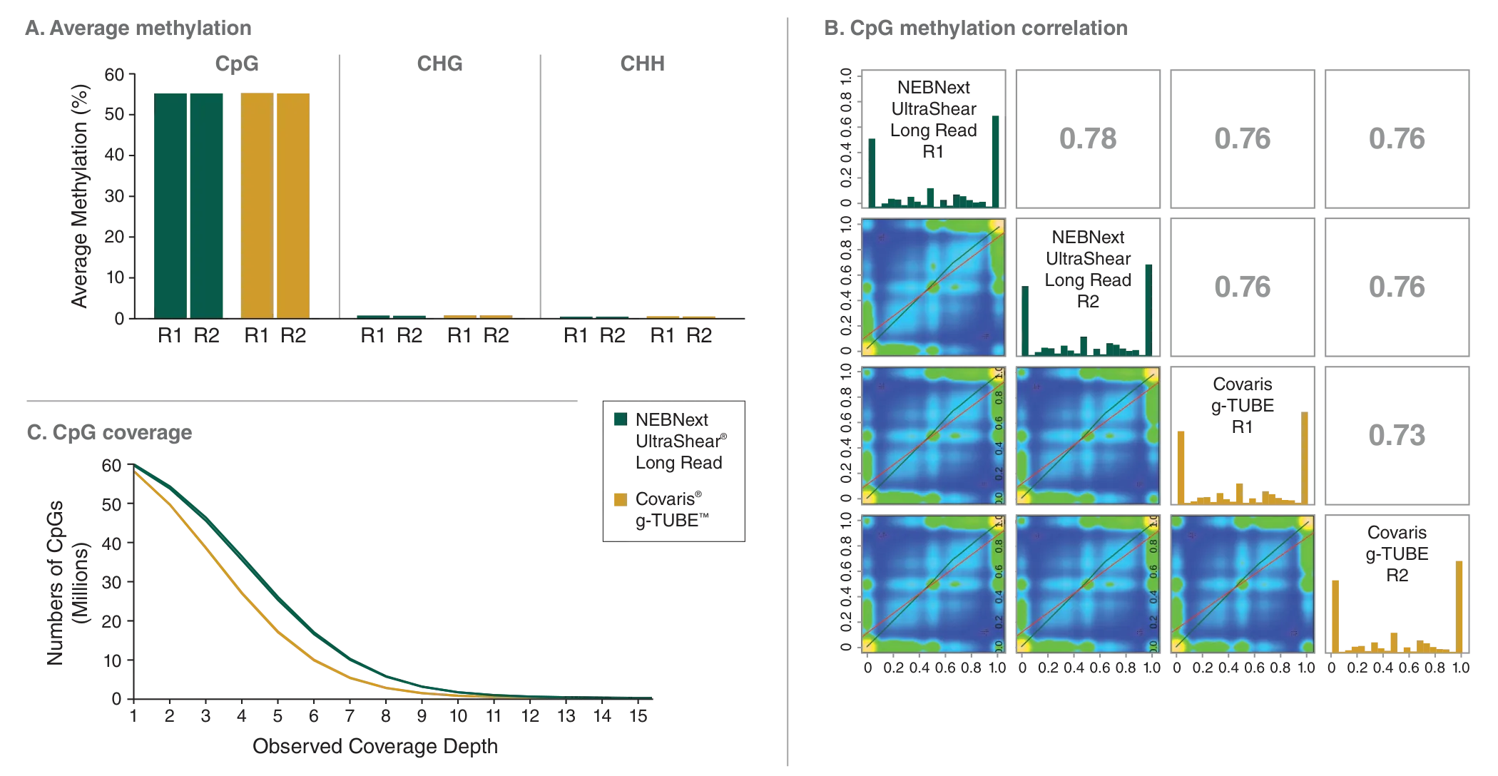 NEBNext UltraShear® Long Read maintenance of methylation, as depicted by average methylation, CpG methylation correlation and CpG coverage