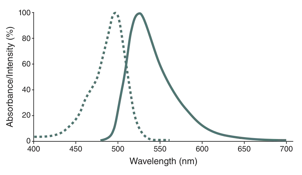 SNAP-Cell® Oregon Green® excitation and emission spectra