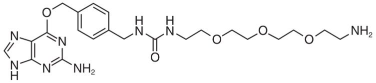 BG PEG NH2 structure