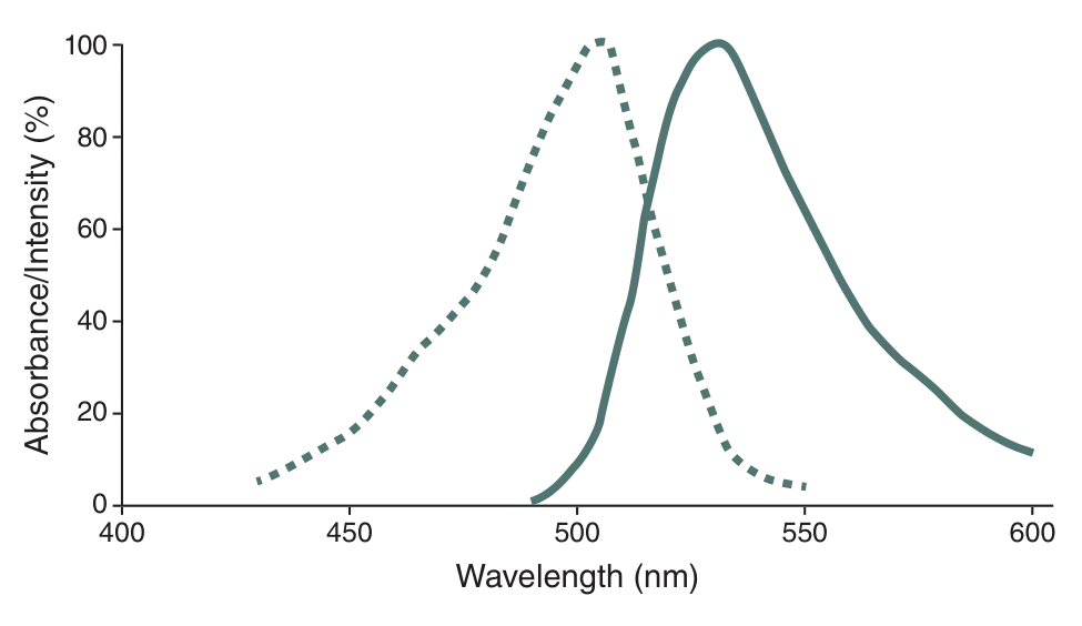 CLIP-Cell™ 505 Excitation and emission spectra