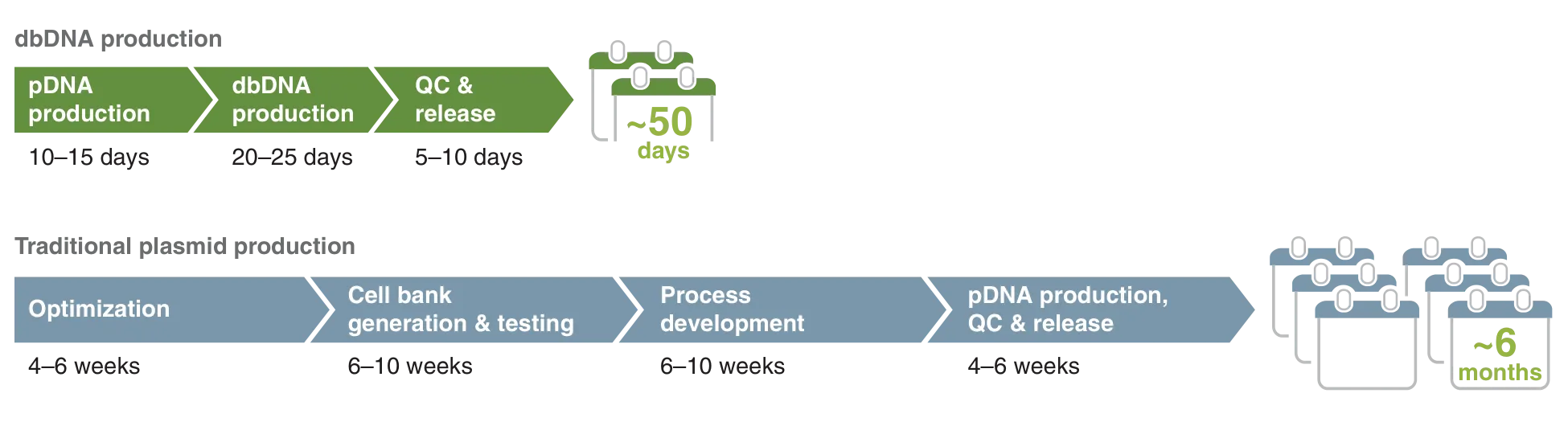 dbDNA production workflow of about 50 days, as compared to traditional plasmid production workflow of about 6 months