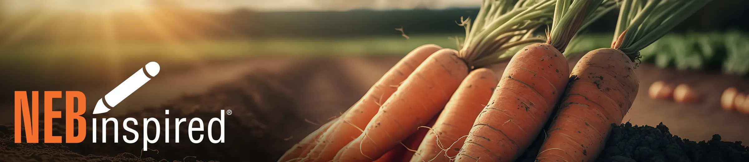 Photo of carrots fresh picked from garden, with NEBinspired logo