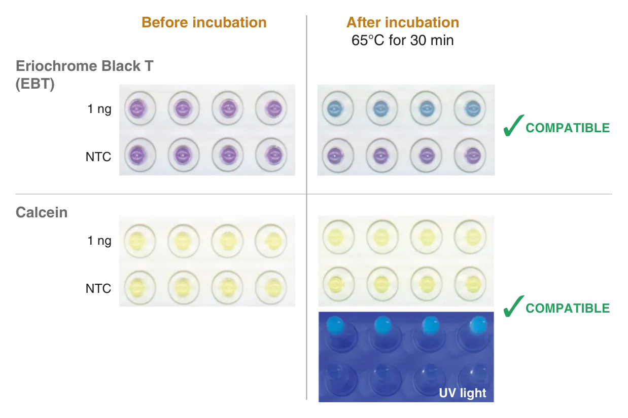 Bst-XT WarmStart™ Multi-Purpose LAMP/RT-LAMP 2X Master Mix (with