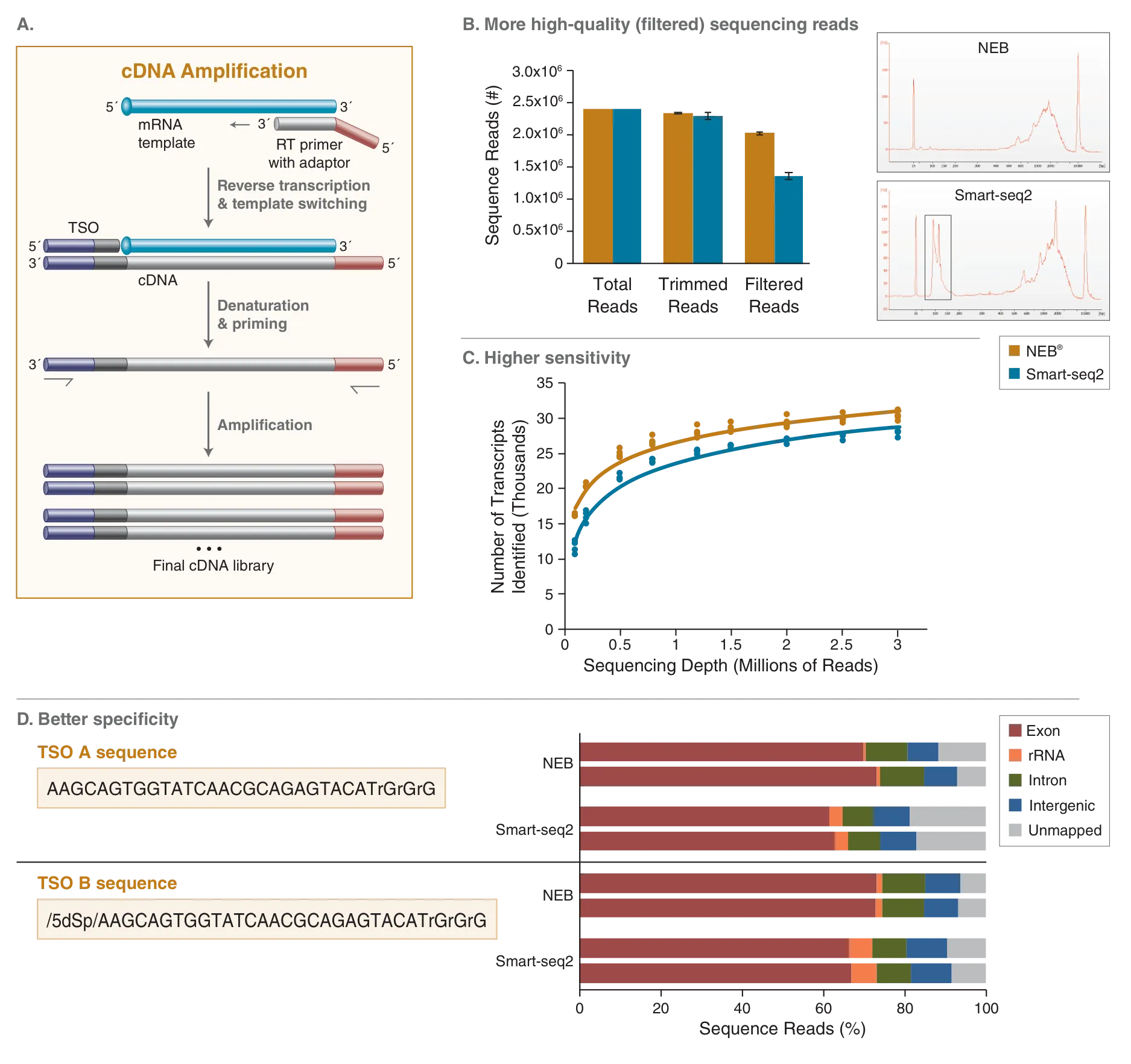 Template switching workflow and data for cDNA amplification