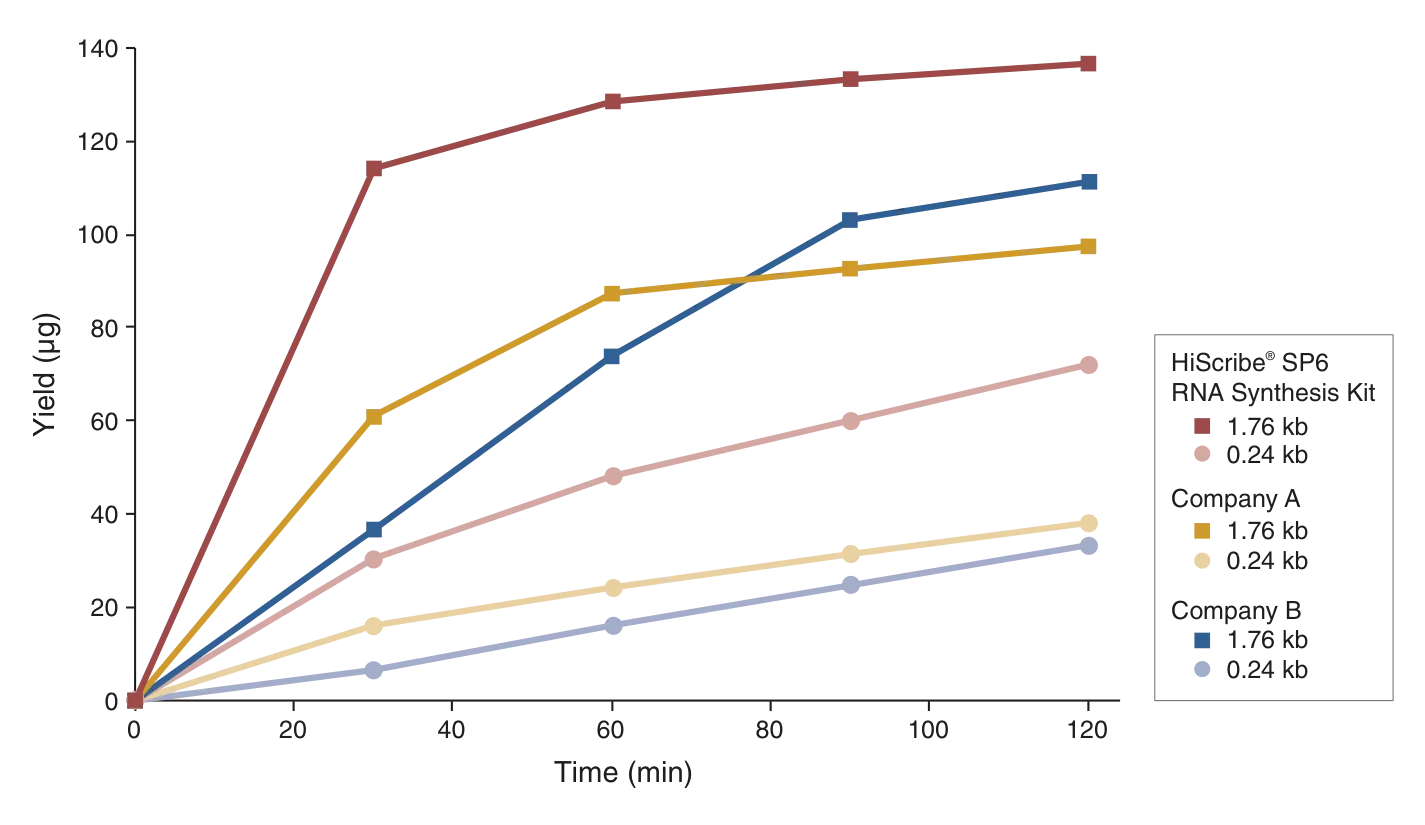 Line graph depicting yield of HiScribe® SP6 RNA Synthesis Kit