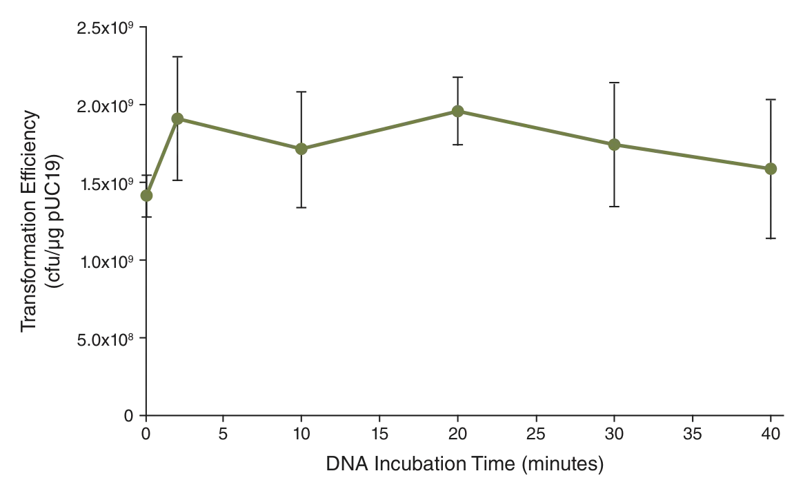 Line graph depicting effect of DNA incubation time on transformation efficiency for NEB® Turbo
