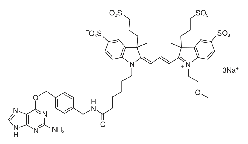 SNAP-Surface® 549 structure