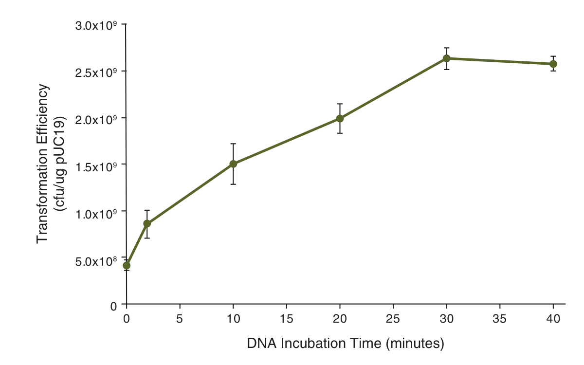 Line graph showing the effect of DNA incubation time on transformation efficiency for NEB 10-beta Competent E. coli