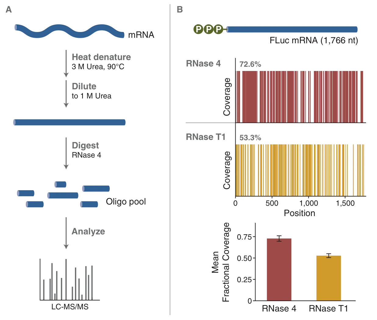 Protocol for in silico digestion with RNase 4, and coverage results for RNase 4 as comared to RNase T1