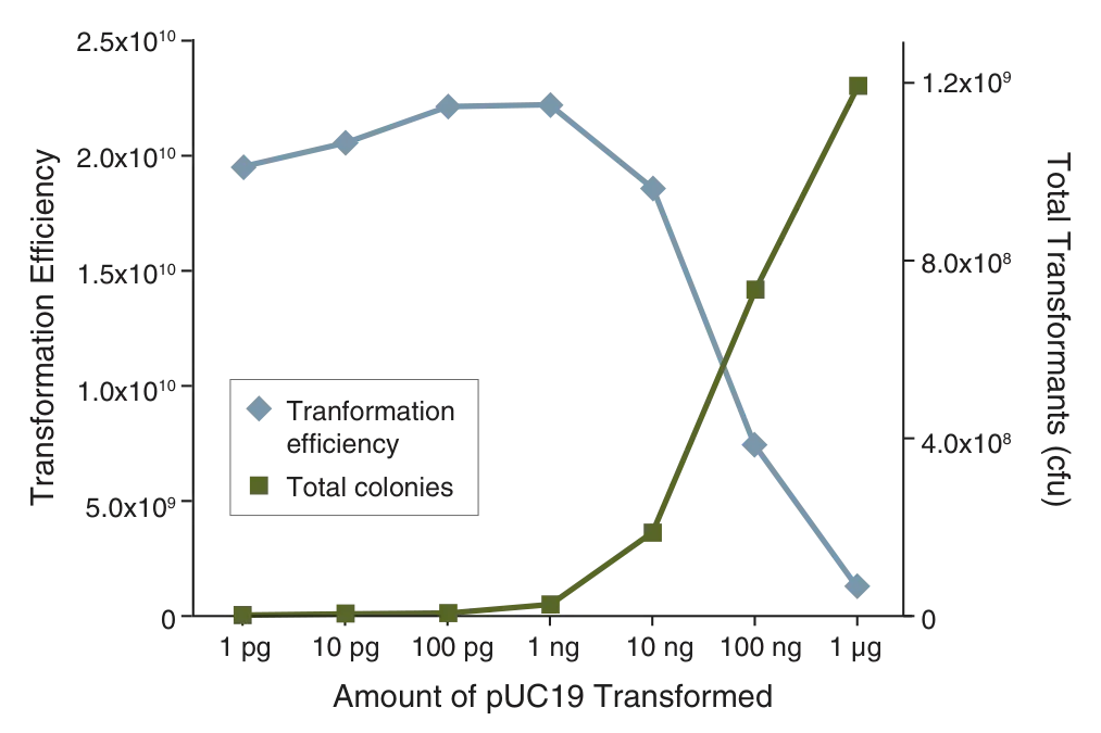 Line graph of transformation efficiency and total transformants for NEB® 10-beta Electrocompetent E. coli