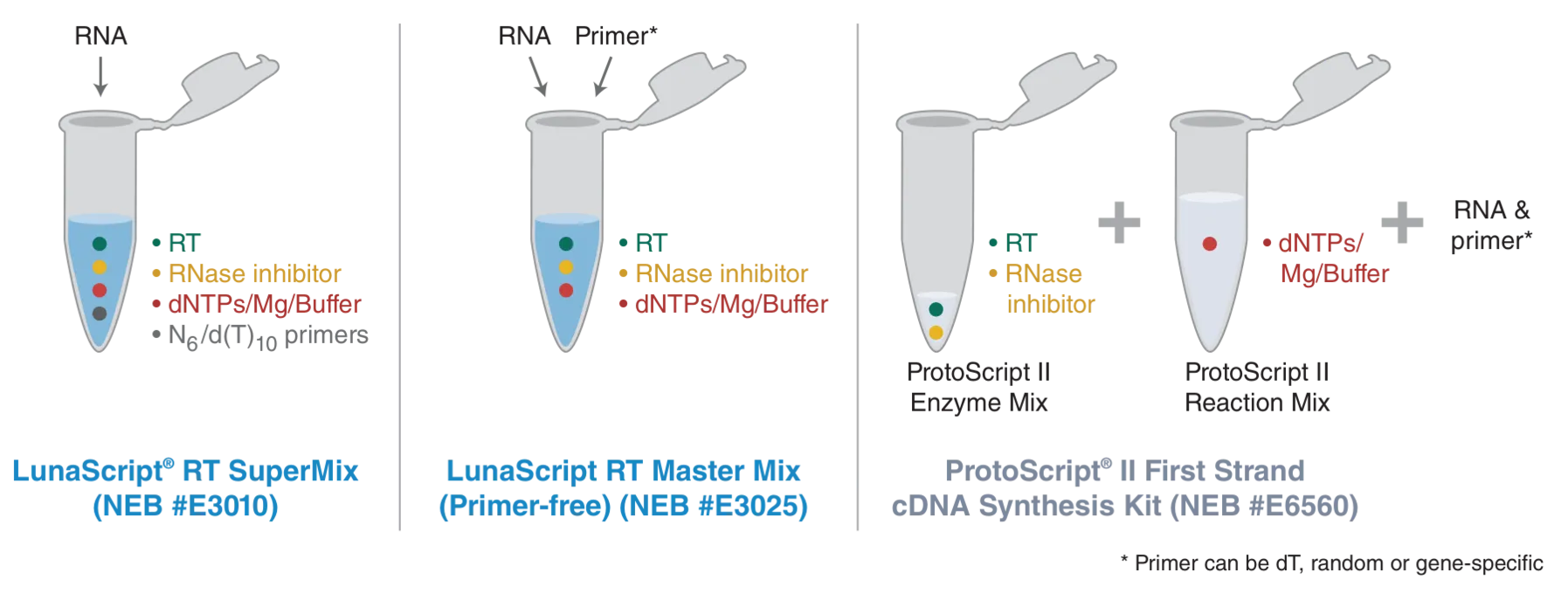 Diagram comparing components of LunaScript® RT SuperMix, LunaScript RT Master Mix and ProtoScript® II First Strand cDNA Synthesis Kit