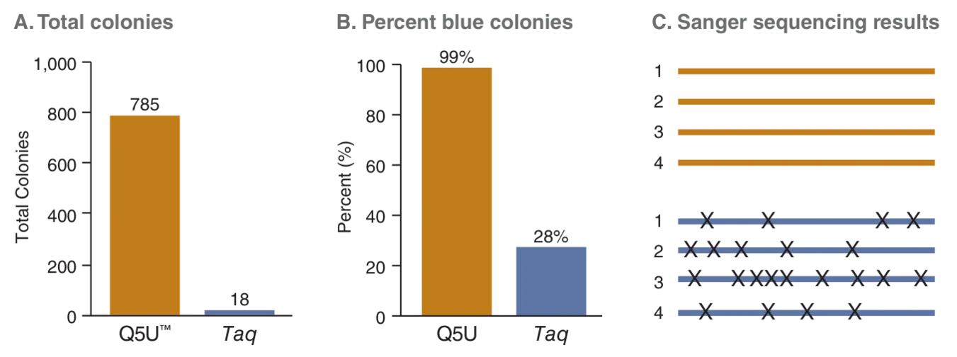 Bar graphs and Sanger Sequencing results comparing USER cloning with Q5U to Hot Start Taq