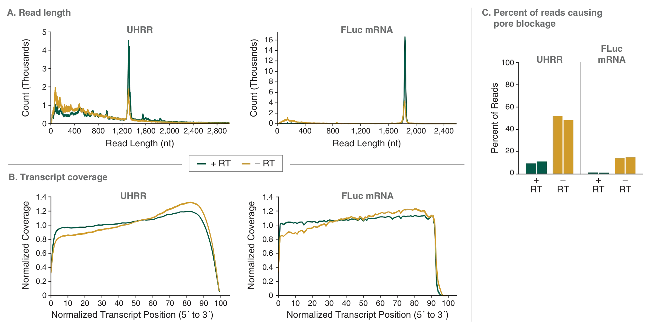 Analysis of read length, transcript coverage and percent of reads causing pore blockage for +RT and –RT 