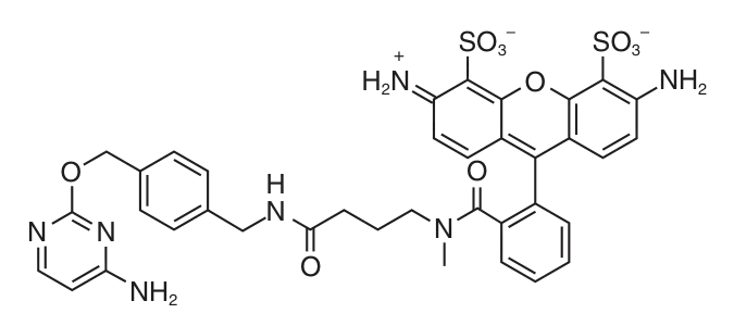 CLIP-Surface™ 488 structure