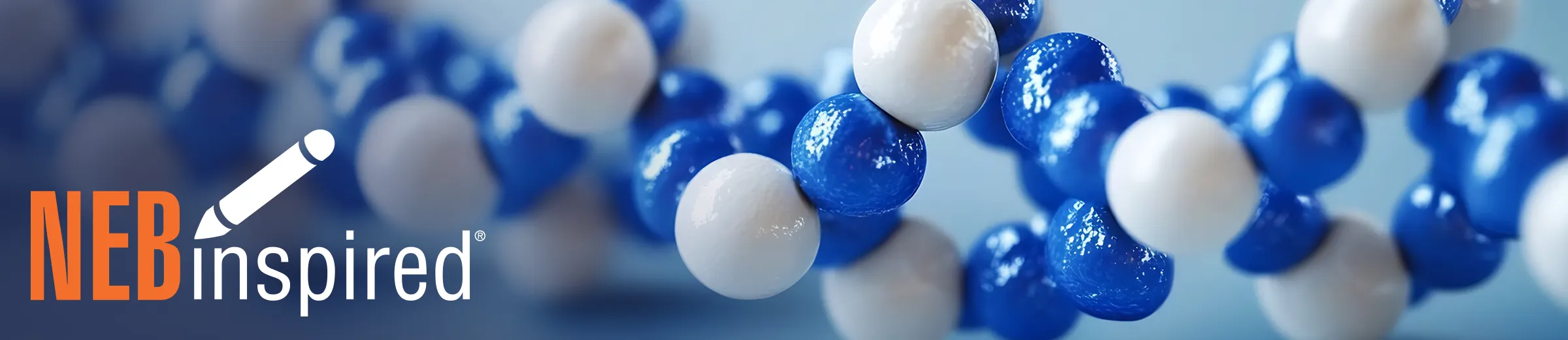 Closeup of helix of peptide "beads", with NEBinspired logo