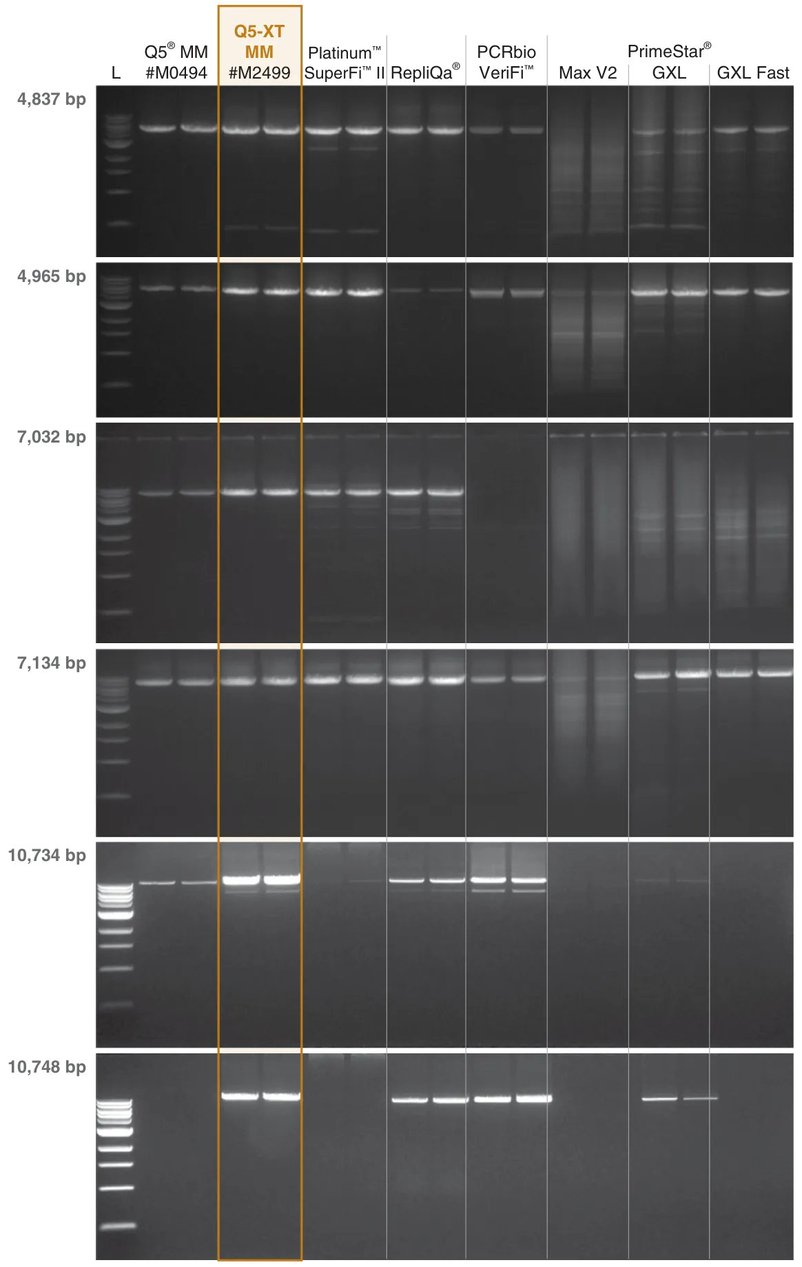 Comparison of various amplicon lengths for Q5-XT, as compared to other DNA polymerases