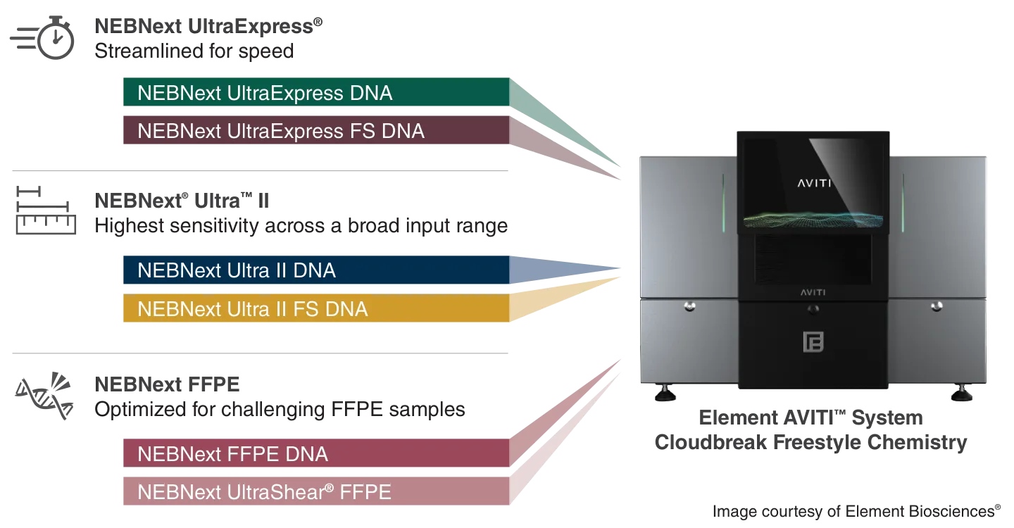 Overview of NEBNext offerings for DNA compatible with Element AVITI™ System Cloudbreak Freestyle Chemistry