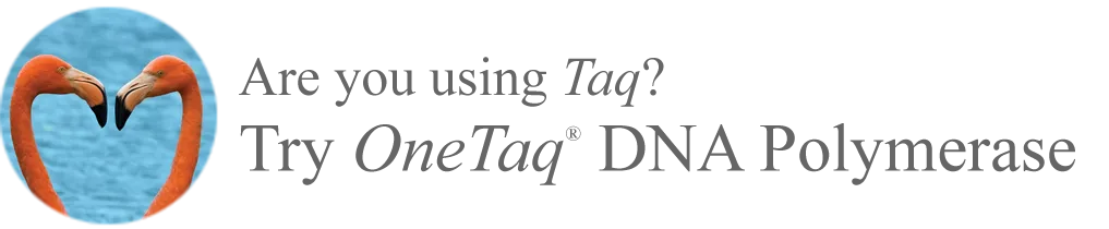 [flamingo thumbnail] Are you using Taq? Try OneTaq® DNA Polymerase