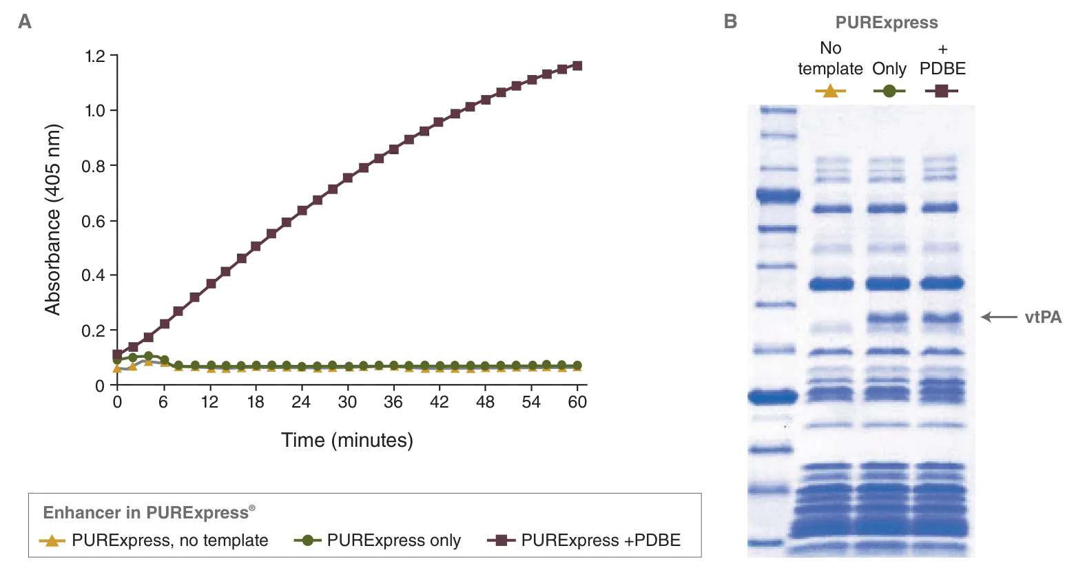 Line graph and gel depicting effect of PURExpress Disulfide Bond Enhancer (PDBE) on vtPA folding