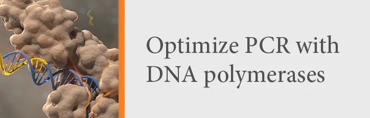 Call-to-action for DNA Polymerases at NEB®