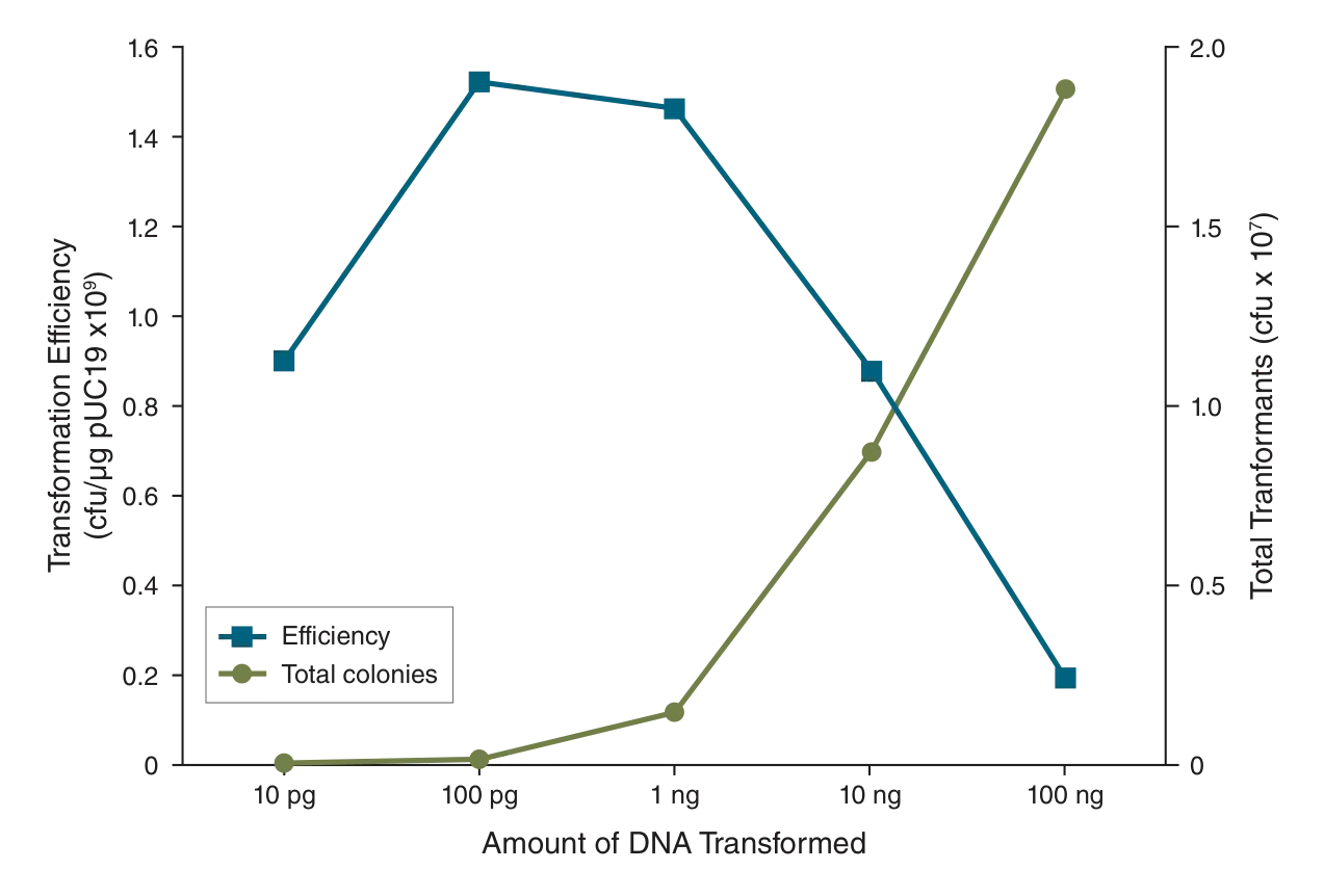 Line graph showing transformation efficiency versus amount of DNA transformed