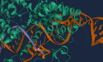Ribbon structure of CRISPR Cas9 with sgRNA, representing Genome Editing by NEB®