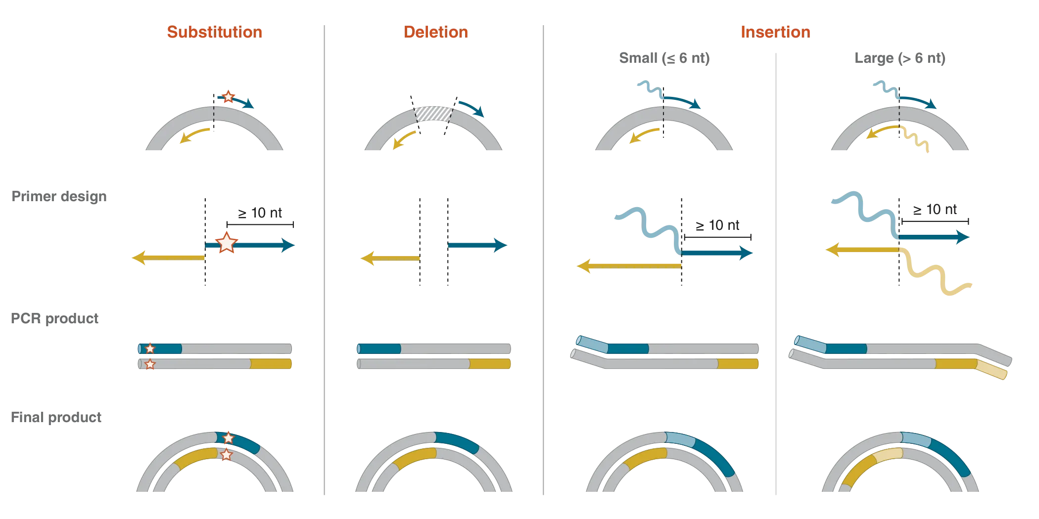 Overview of site-directed mutagenesis (SDM) for substitutions, deletions or insertions