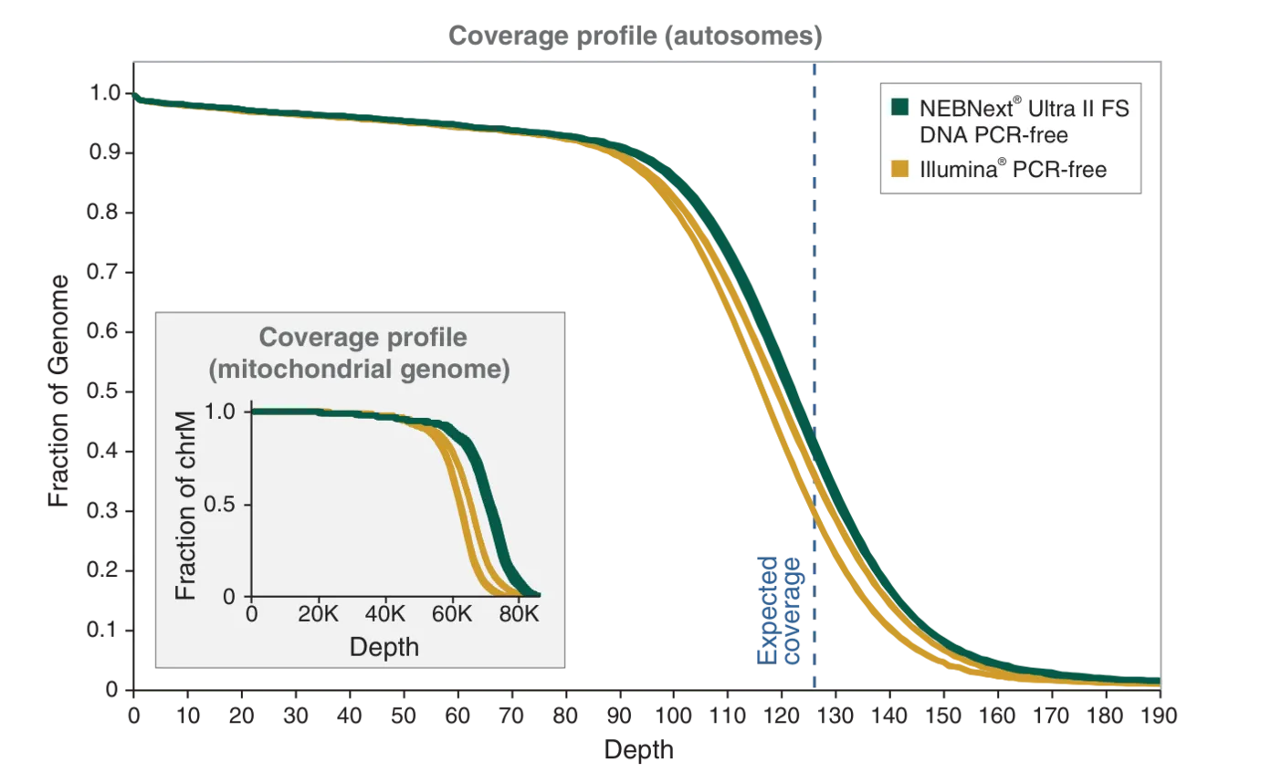 Line graph depicting coverage profile for NEBNext Ultra II FS DNA PCR-free as compared to Illumina® PCR-free