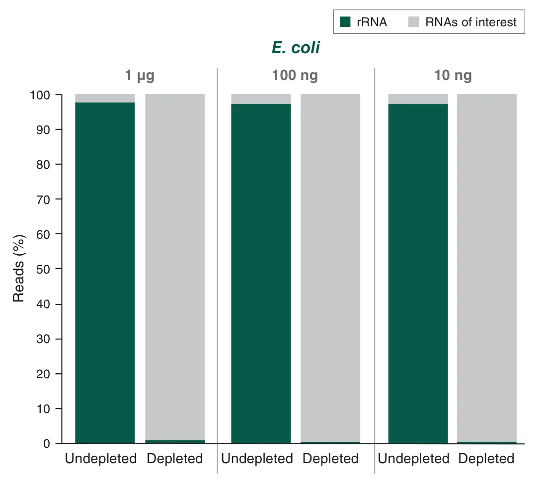 Bar graphs depicting rRNA depletion across a range of E. coli input