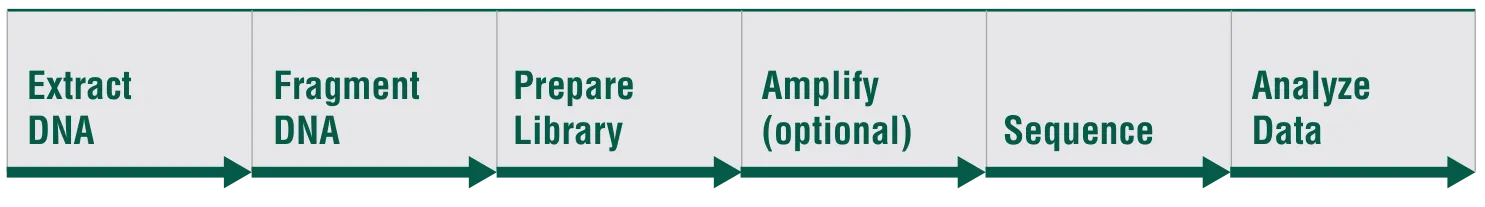 Traditional library preparation workflow