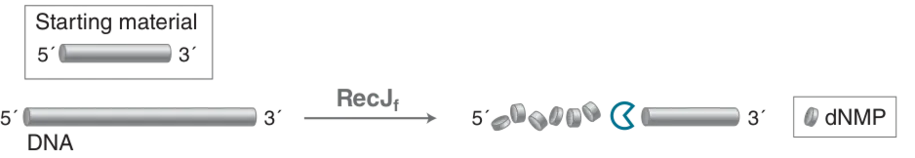 Diagram of mechanism